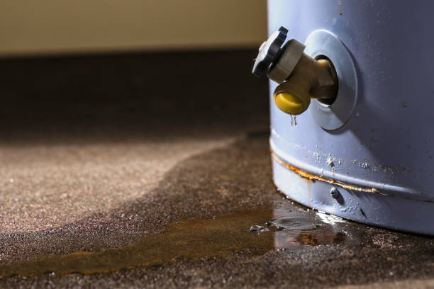 Best Flood damage cleanup  in Florin, CA