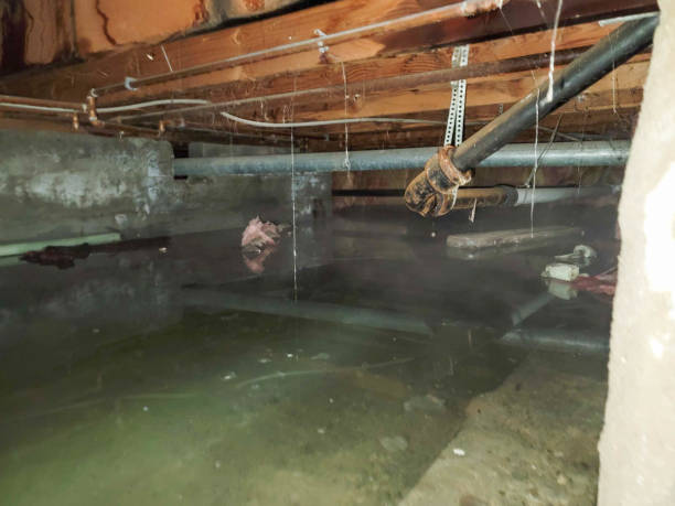 Best Flood restoration services  in Florin, CA