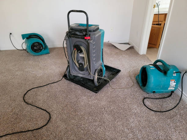 Best Commercial water damage restoration  in Florin, CA