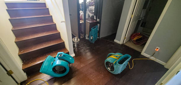 Best Basement water damage restoration  in Florin, CA