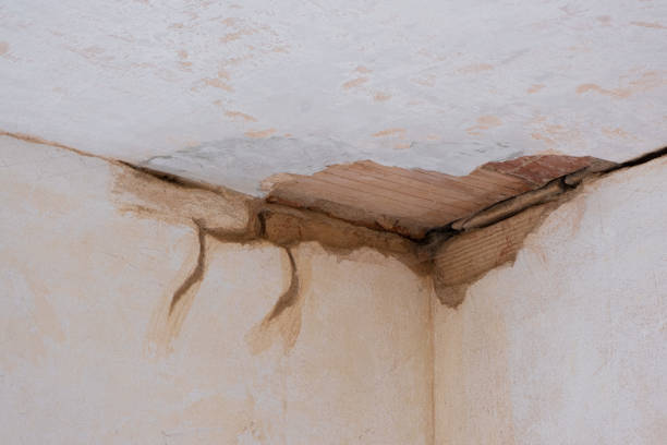 Best Flood restoration services  in Florin, CA