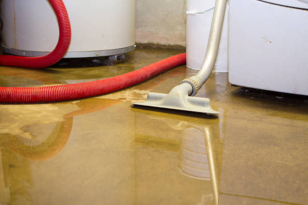 Best Mold removal after water damage  in Florin, CA