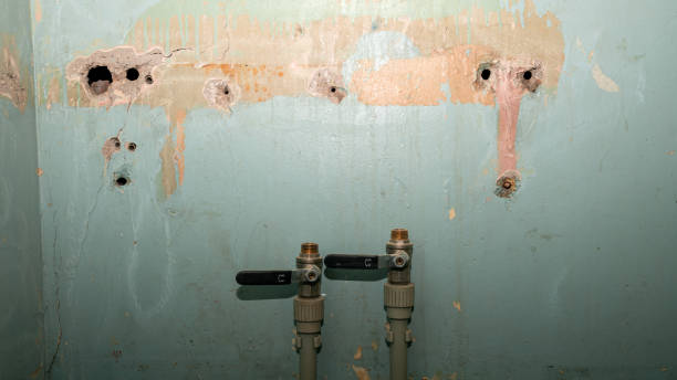 Best Water damage restoration near me  in Florin, CA