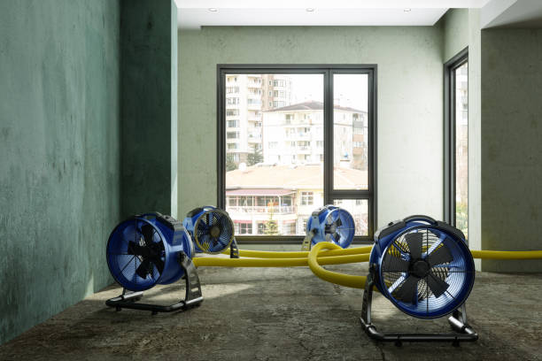 Best Local water damage restoration  in Florin, CA