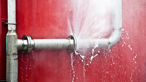 Best Local water damage restoration  in Florin, CA